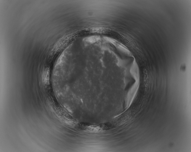 X0000116100502200912141000