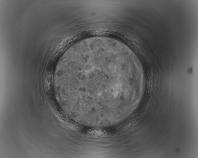 X0000116100503200912141000