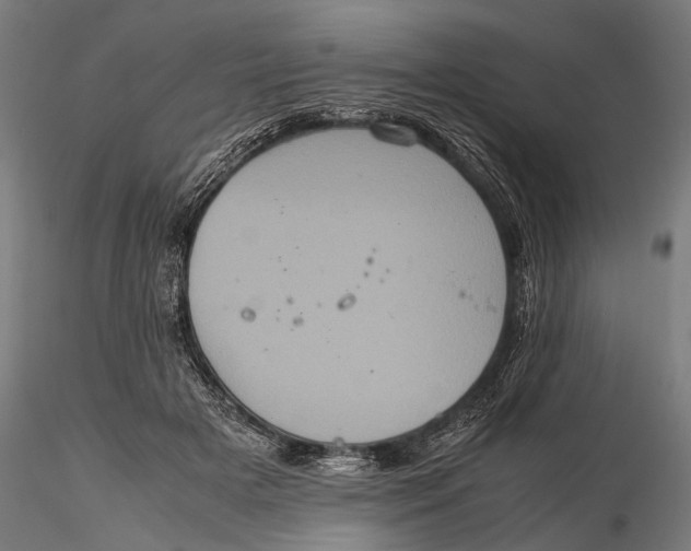 X0000116100505200912141000