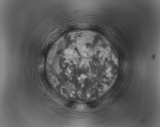 X0000116100507200912141000