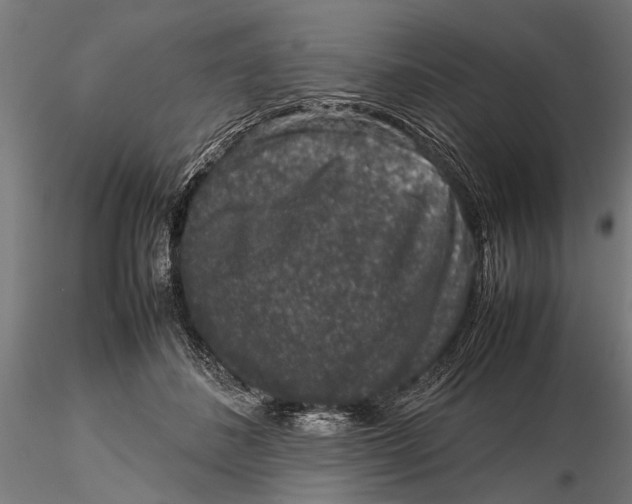 X0000116100508200912141000