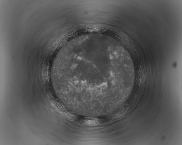 X0000116100510200912141000