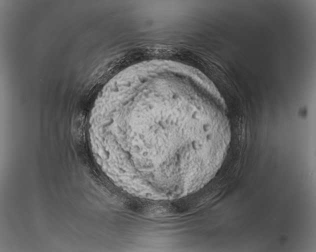 X0000116100511200912141000