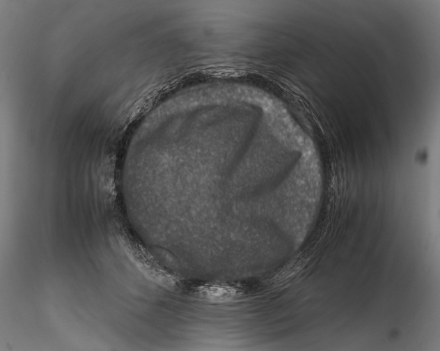 X0000116100512200912141000