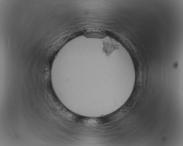 X0000116100513200912141000