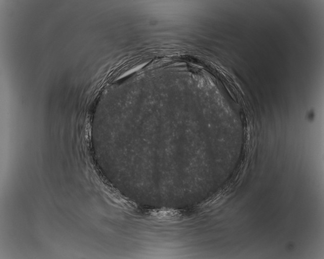 X0000116100517200912141000