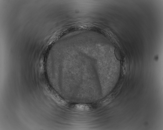 X0000116100520200912141000