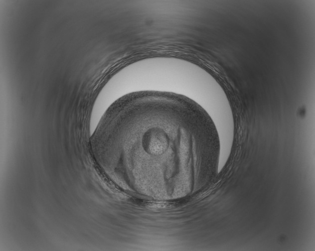 X0000116100521200912141000