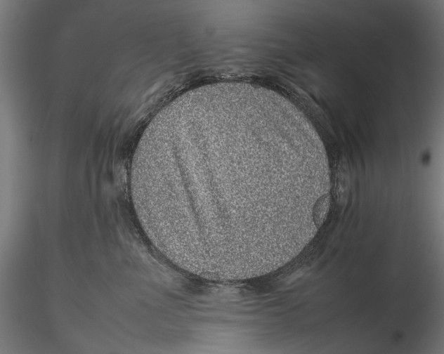 X0000116100523200912141000