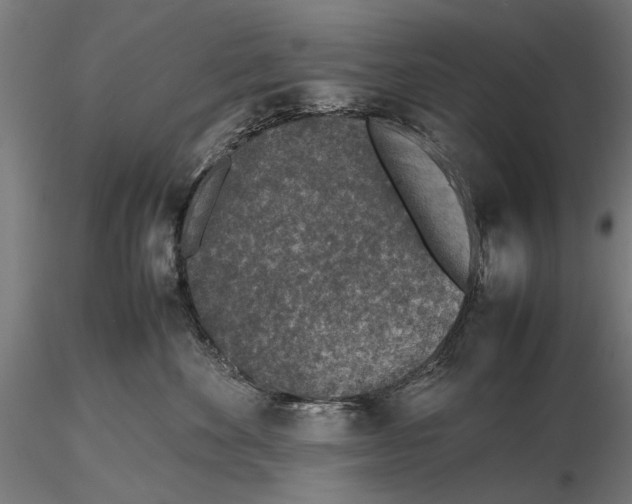 X0000116100524200912140959