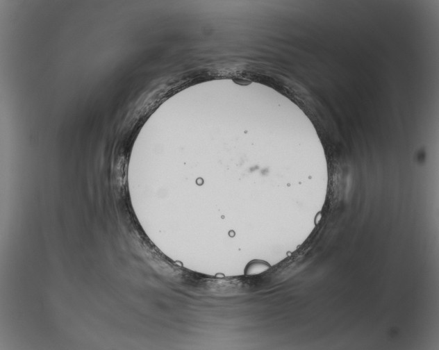 X0000116100525200912140959