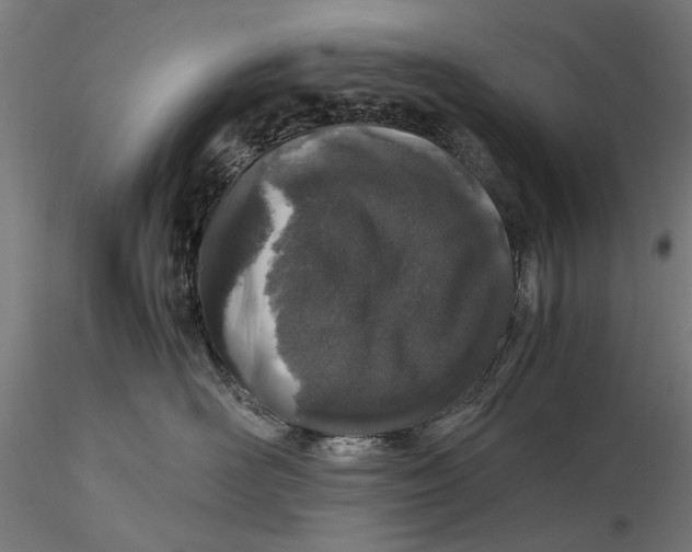 X0000116100526200912140959