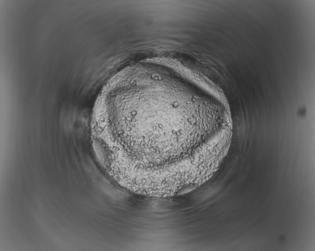 X0000116100527200912140959