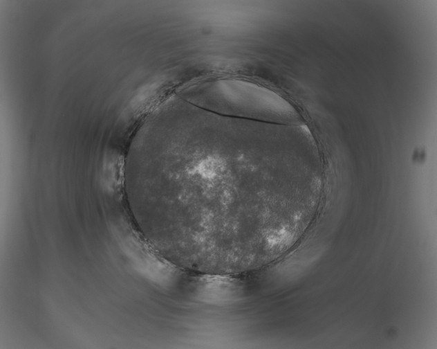 X0000116100528200912140959