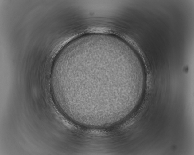 X0000116100529200912140959