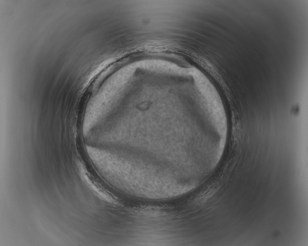 X0000116100530200912140959