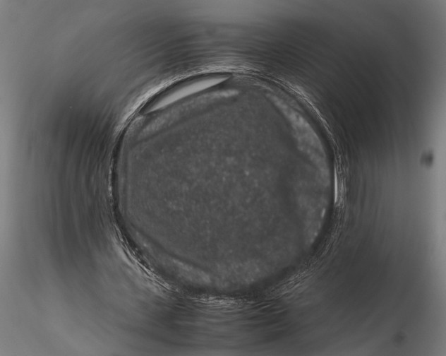 X0000116100531200912140959