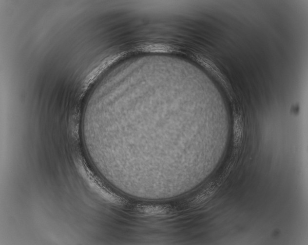 X0000116100533200912140959