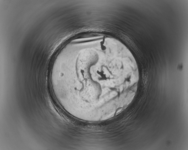 X0000116100534200912140959