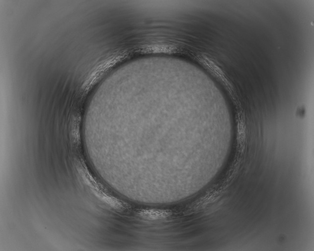 X0000116100537200912140959