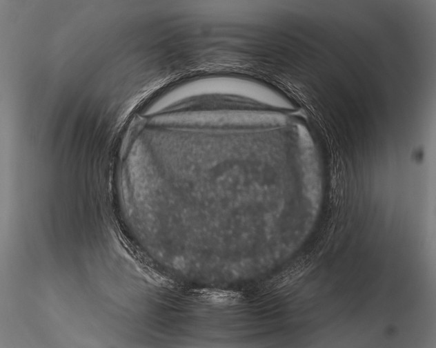 X0000116100539200912140959