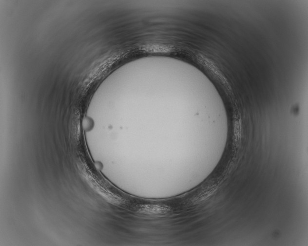 X0000116100541200912140959