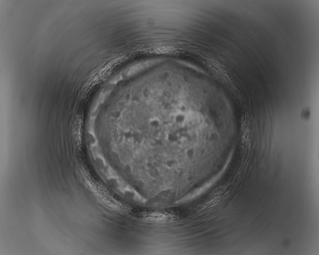 X0000116100542200912140959