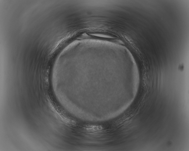 X0000116100543200912140959