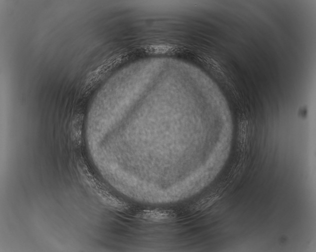 X0000116100545200912140959