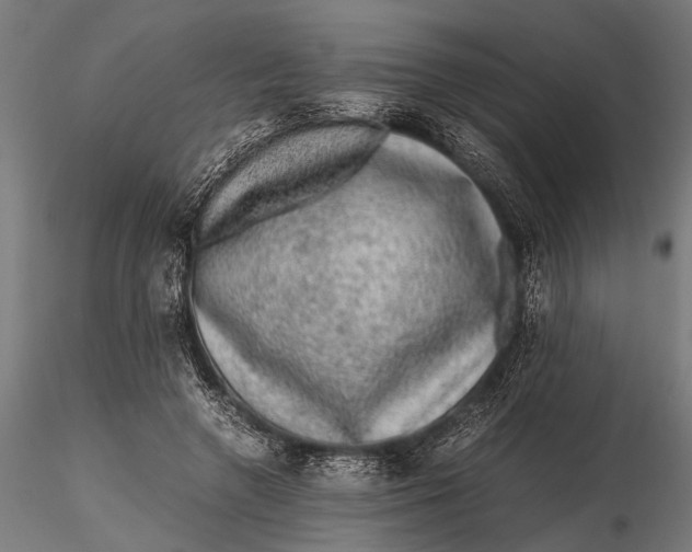 X0000116100546200912140959