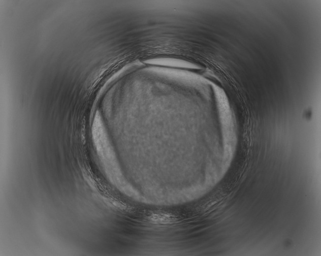 X0000116100547200912140959