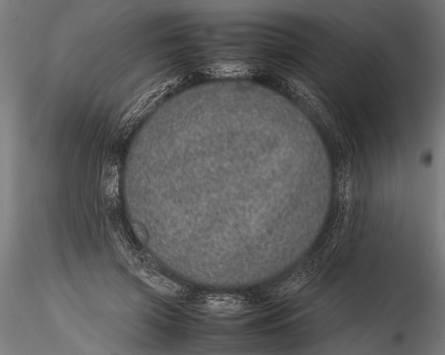 X0000116100549200912140959