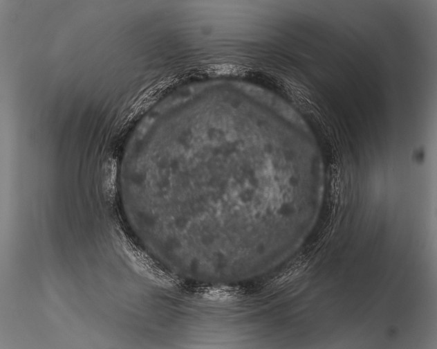 X0000116100550200912140959