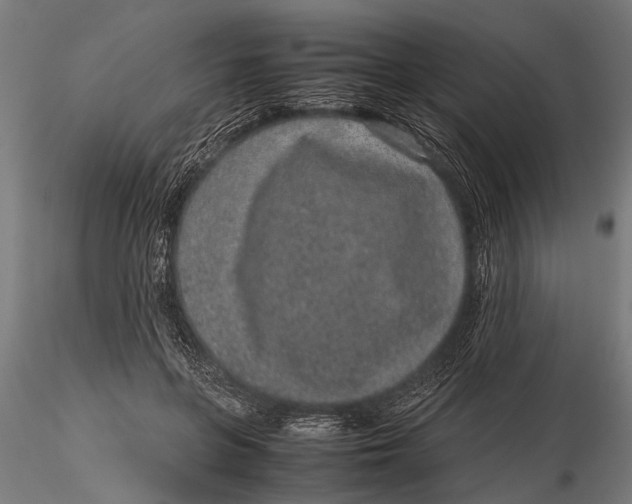 X0000116100551200912140959