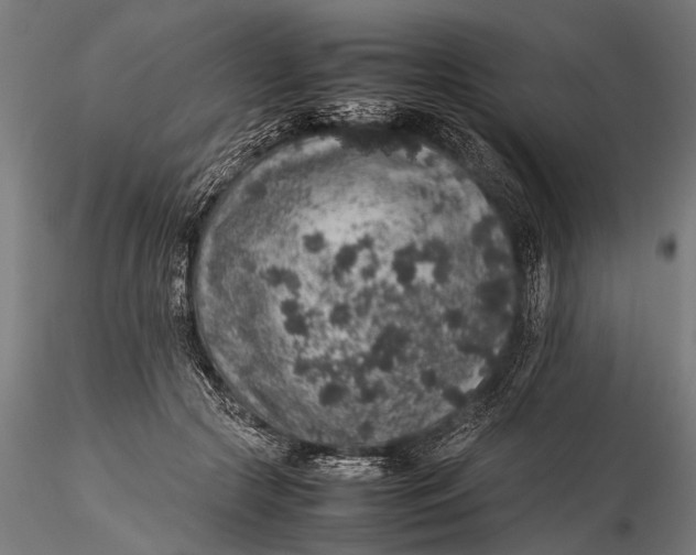 X0000116100553200912140959