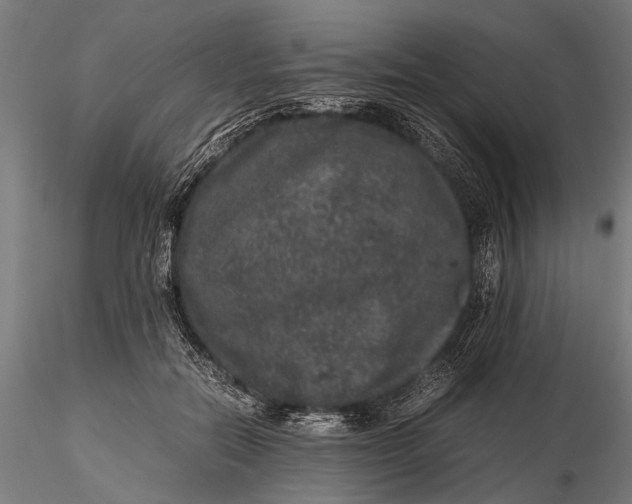 X0000116100554200912140959