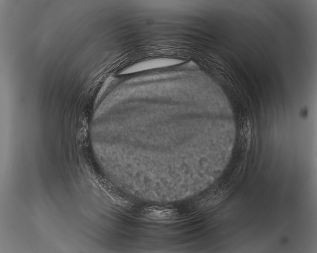 X0000116100555200912140959