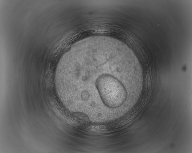 X0000116100557200912140959