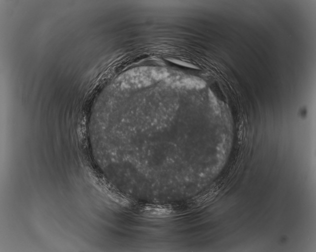 X0000116100559200912140959