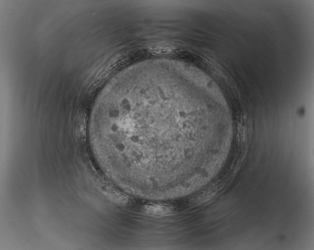 X0000116100561200912140959