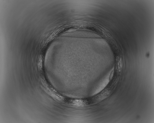 X0000116100562200912140959