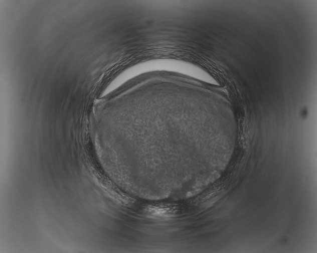 X0000116100563200912140959