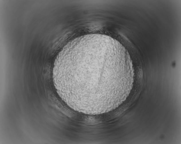 X0000116100565200912140959