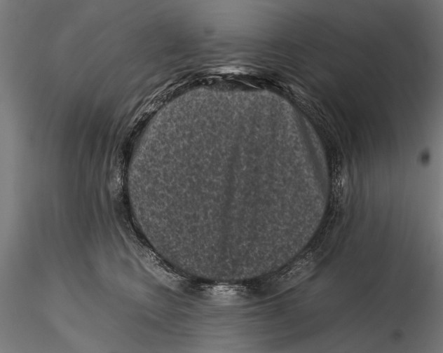 X0000116100566200912140959