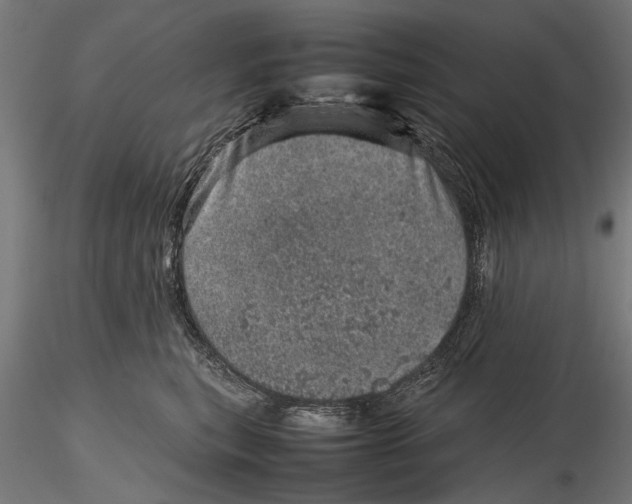 X0000116100567200912140959