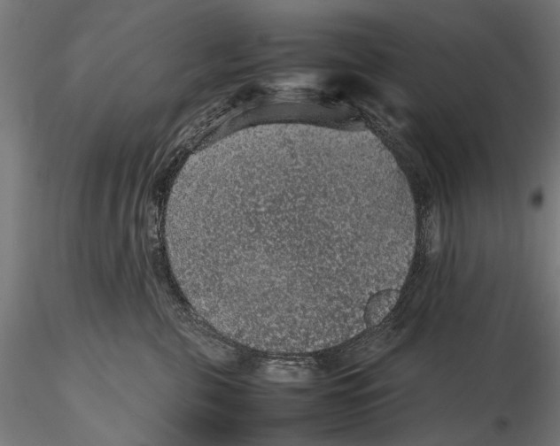 X0000116100571200912140959