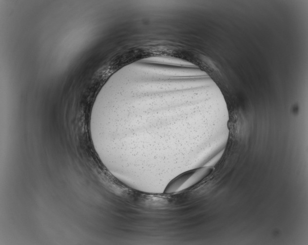 X0000116100573200912140959