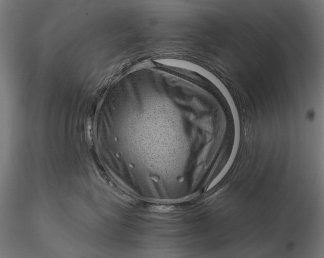 X0000116100575200912140959