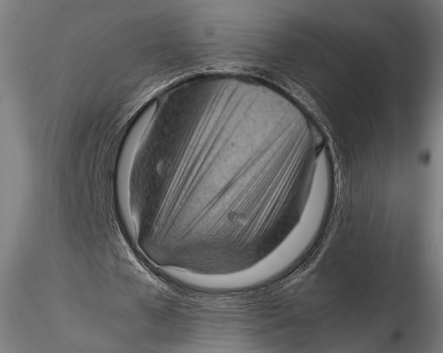 X0000116100577200912140959