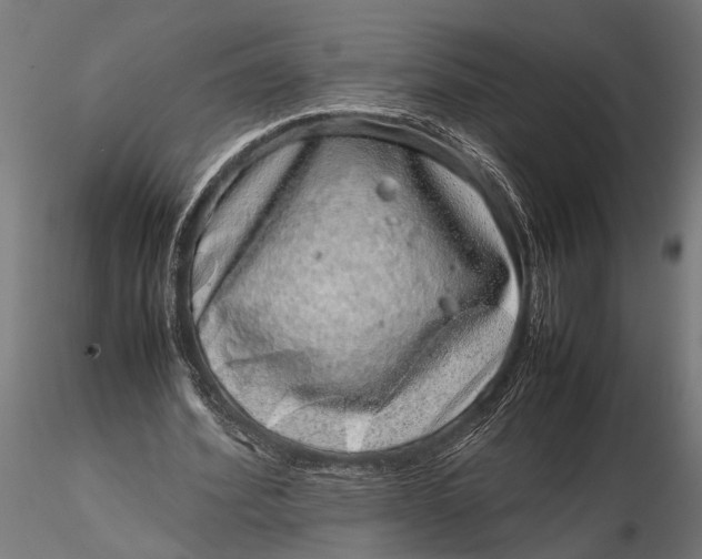 X0000116100580200912140959